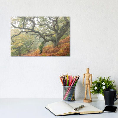 The Magic Faraway Tree by Adam Burton - Wrapped Canvas Print