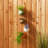 NEUTRAL GARDEN DANGLING MINI POTS