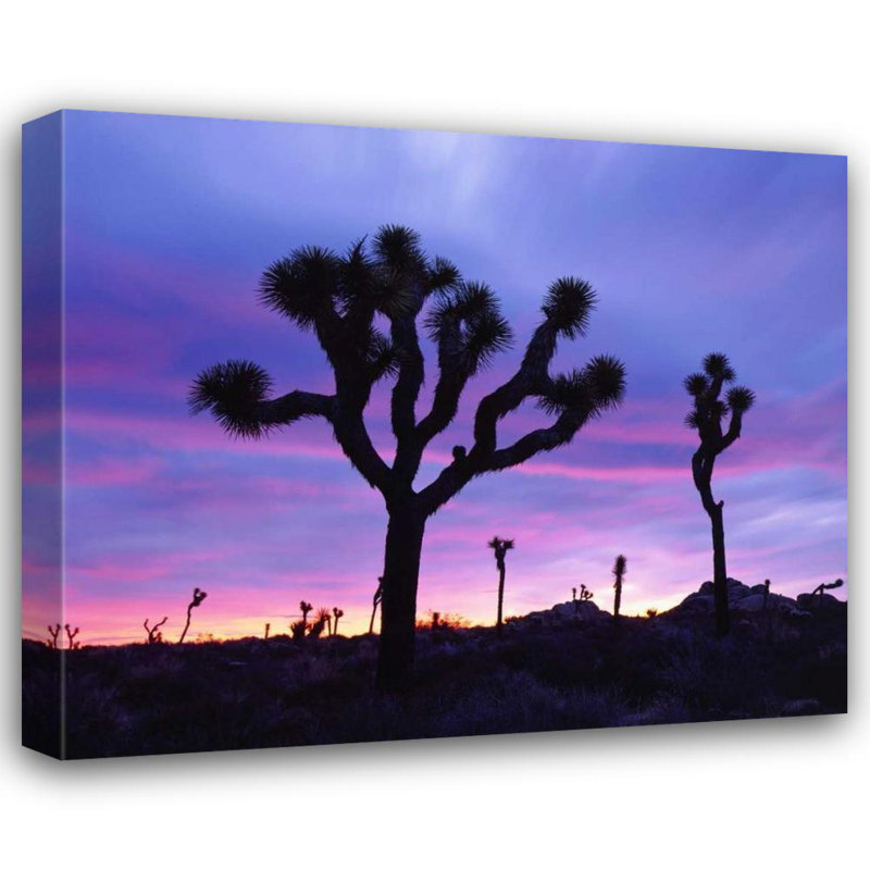 Art sur toile tendue par Talbot Frank, Christopher Gallery: California, Joshua Tree NP at Sunrise, H 20 po x l 23 po