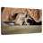 Brampt Sleeping Chihuahua-108722121