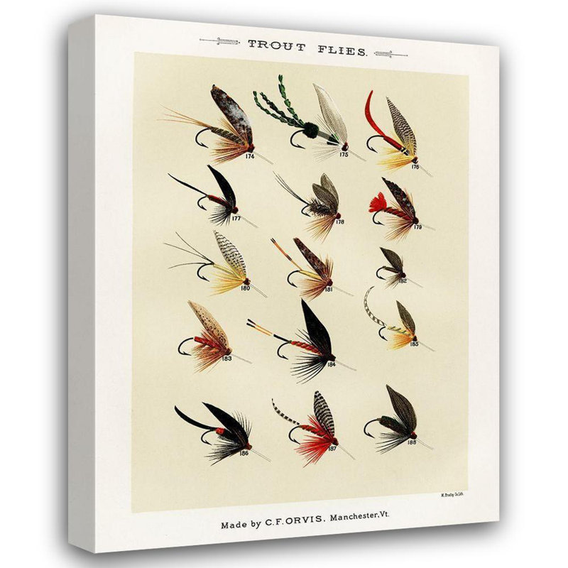 Marbury, Mary Orvis Canvas Art: Trout Fishing Flies V from Favorite Flies and Their Histories, 36" H x 28" W