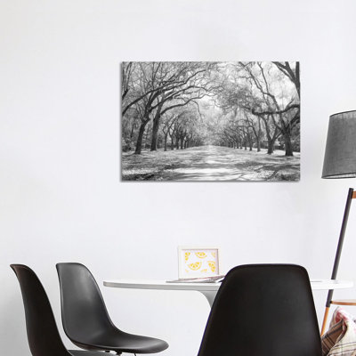 Live Oaks And Spanish Moss Wormsloe State Historic Site Savannah, Georgia (Black And White) I by Panoramic Images - Wrapped Canvas Gallery-Wrapped Canvas Giclée