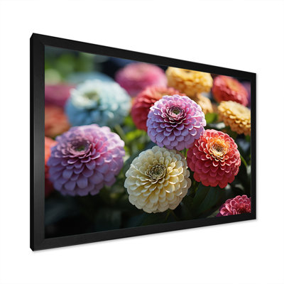 " Colorful Zinnias Field At Sunrise II "