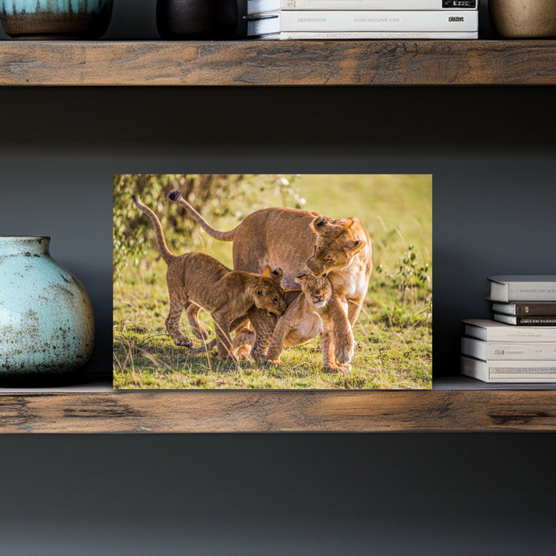 Tender Lion Family Contemporary Cat Lion Nature Wildlife Wall Art Print 1 Piece Wrapped Canvas Wall Art