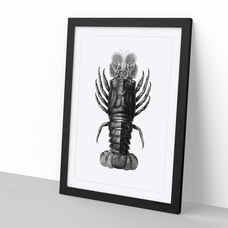 Lobster Illustrations by E.F. Jomard - Picture Frame Graphic Art Print, 60cm H x 40cm W x 2cm D, Black