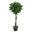 90cm Pair of Artificial Bay Topiary Ball Trees Real Wood Trunk.