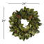 Magnolia Leaf 24" Wreath