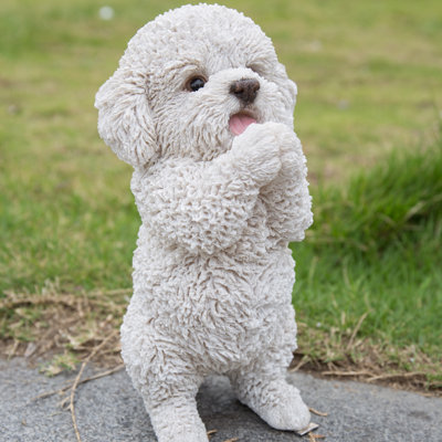 Chiot caniche jouant