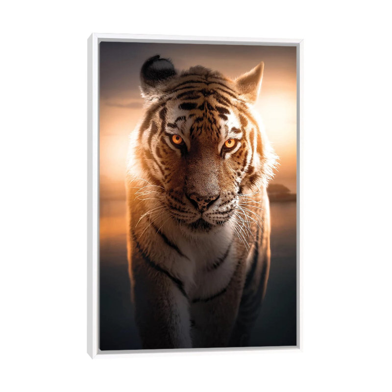 The Glowing Tiger by Zenja Gammer - Print on Canvas, White Framed, 66.04 cm H x 45.72 cm W