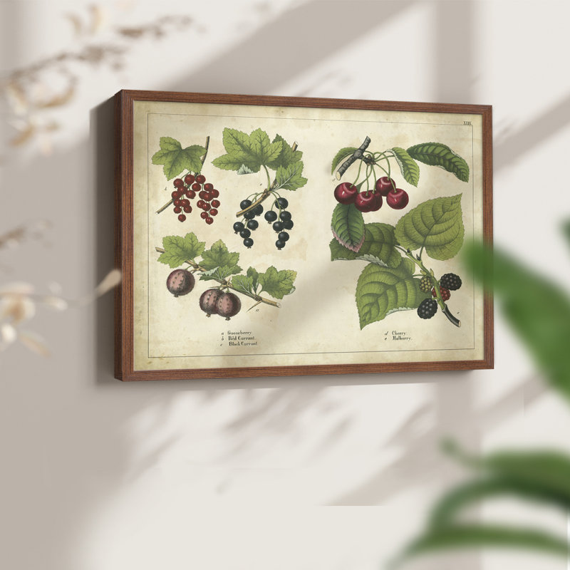 «Kitchen Fruits III», reproduction encadrée, H 8 po x l 10 po, Noyer