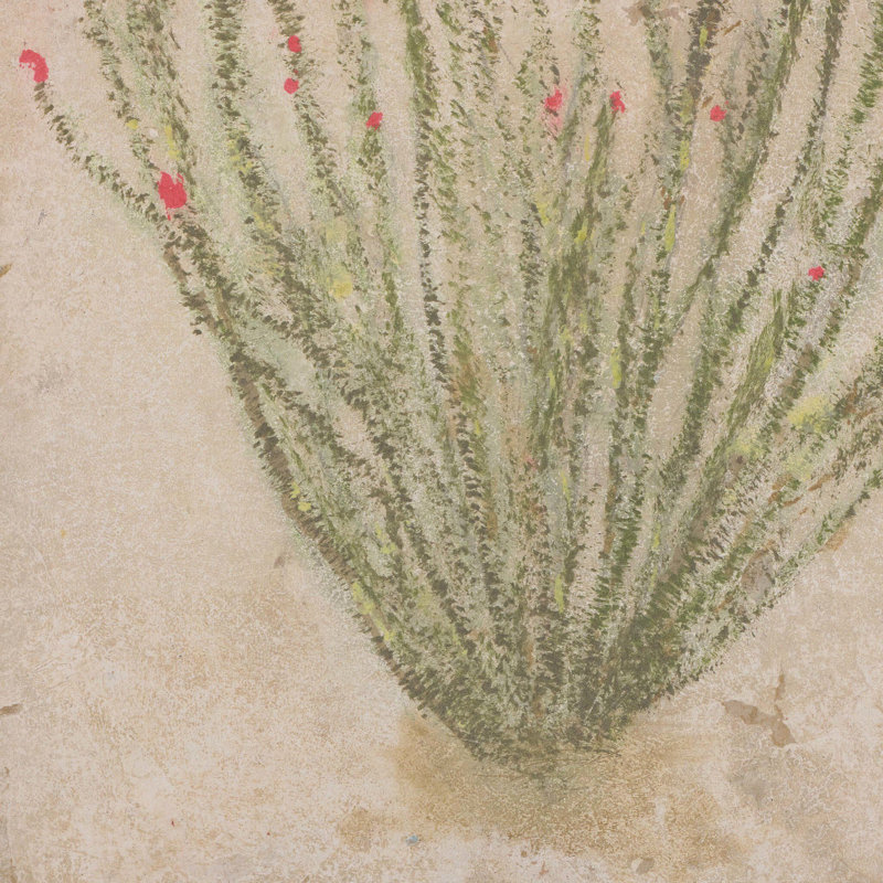 Ocotillo by Paul Meyer, 12 x 18'