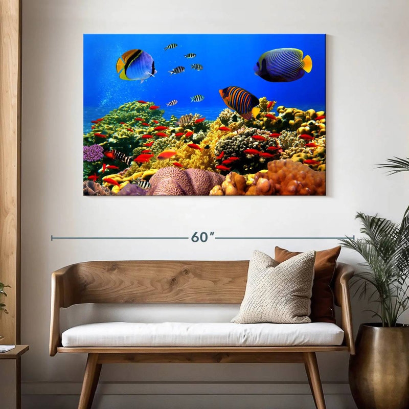 Dazzling marine life Aletra, H 32 po x l 48 po