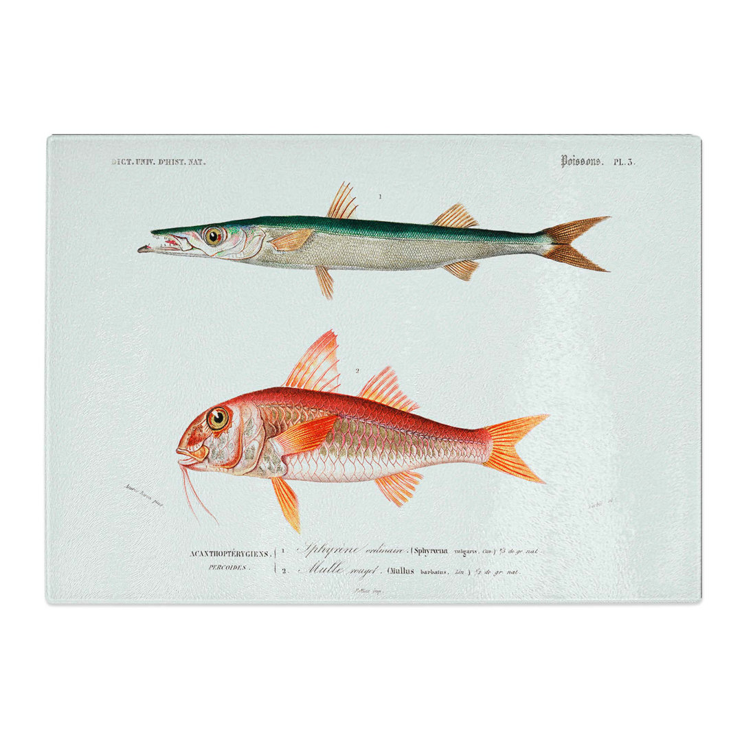 Tempered Glass Fish Illustrations PL. 5 by Charles D' Orbigny Chopping Board