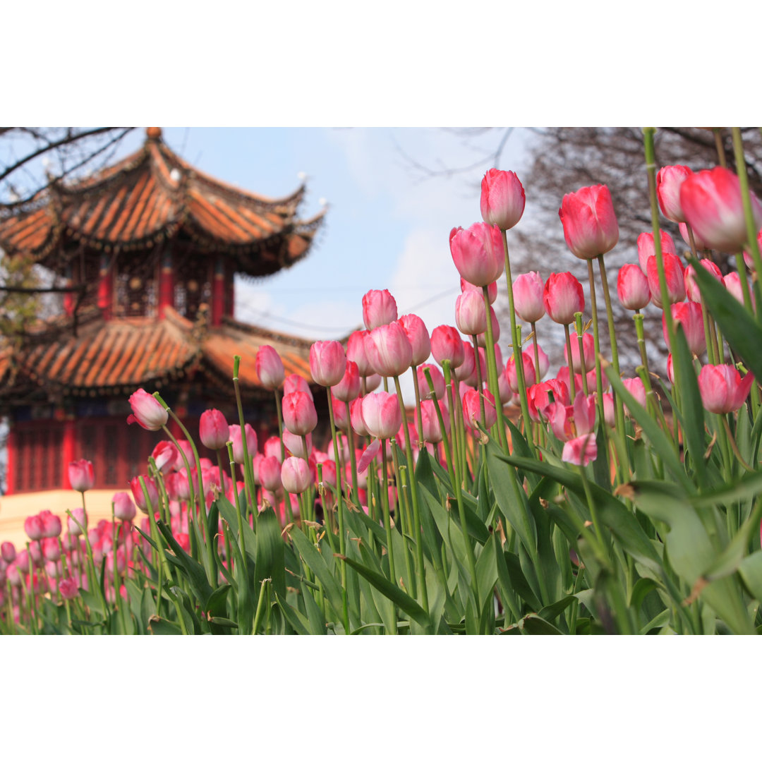 China Construction And Tulip von Thinkdo - Foto ohne Rahmen auf Leinwand