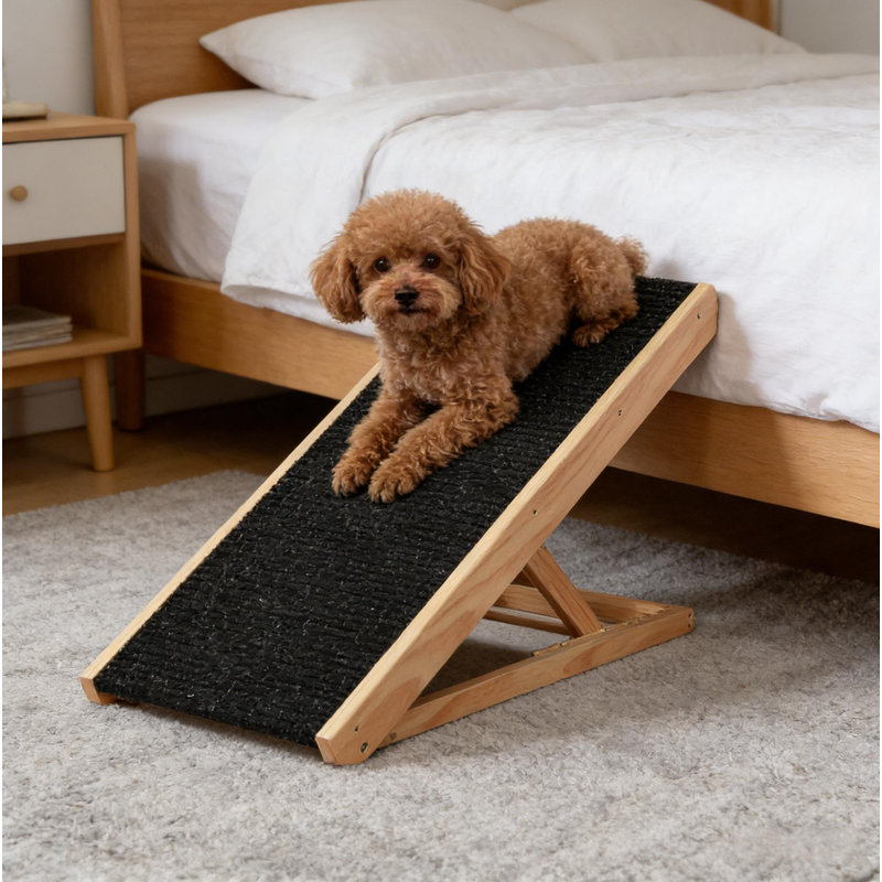 Rampe pour animaux de compagnie