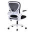 Desk Chair-388895513-388895519