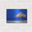 «Aruba Beach Umbrella» par Mark A Paulda-499433920