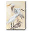 «Watercolor Waterbirds II», reproduction d'art sur toile tendue-1911580392