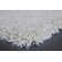 Parsegh Solid Colour Shag Area Rug
