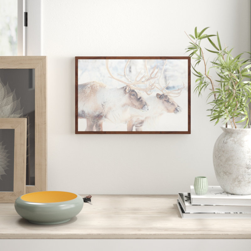 Parvez Taj - Single Picture Frame Print, 41cm H x 61cm W x 3.81cm D