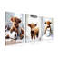 3 Piece Wrapped Canvas Print