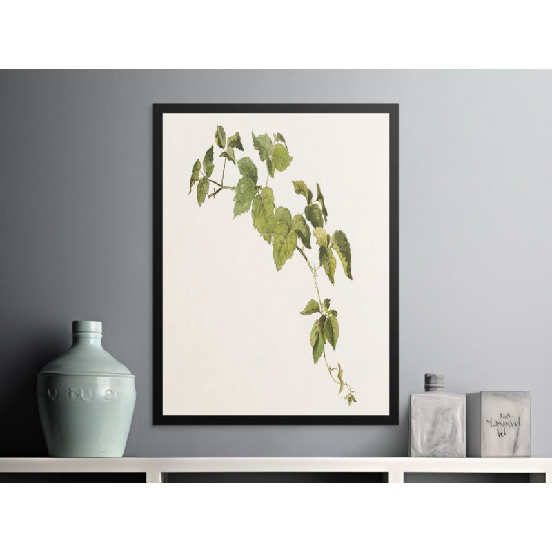 Verena Print, 18x24