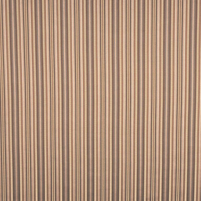 Tissu général