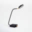 Eltisley Metal USB Desk Lamp