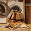  Tapis lavable et caramel-742309283