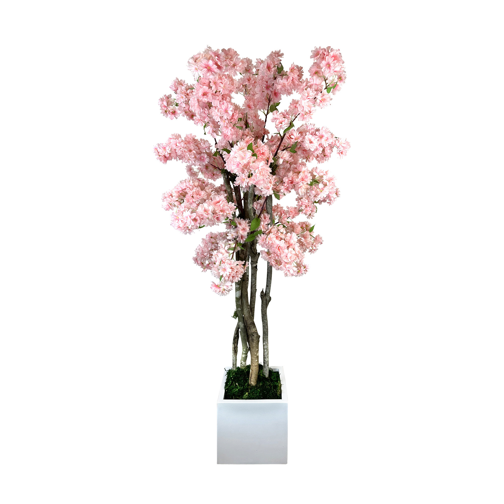 Primrue 4.5' Faux Cherry Blossom Tree in Fiberstone Pot | Wayfair