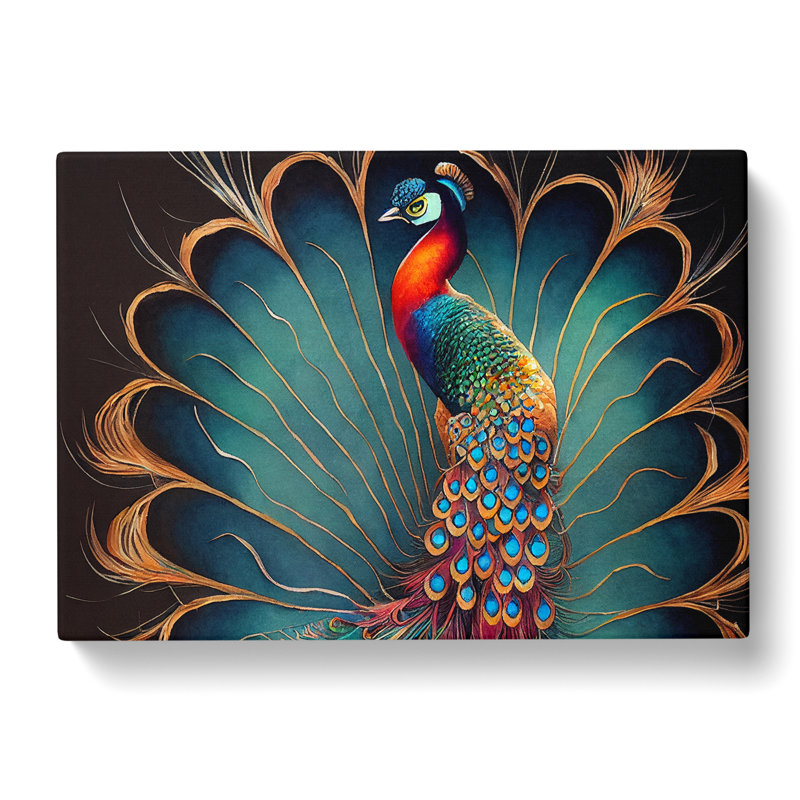 Peacock Art - Wrapped Canvas Print, 35cm H x 50cm W x 3cm D