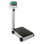 Detecto Digital Physician Scale