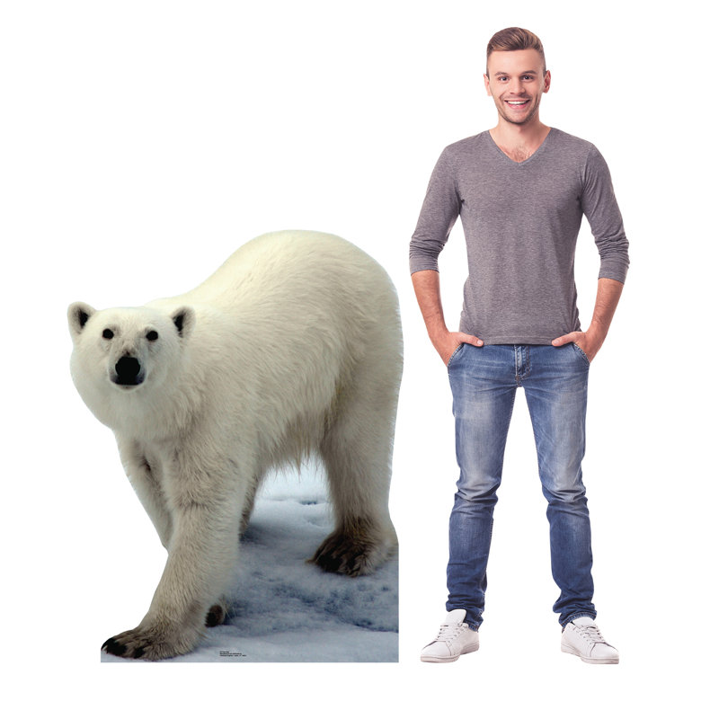 Animals 48'' Animals Cardboard Standup
