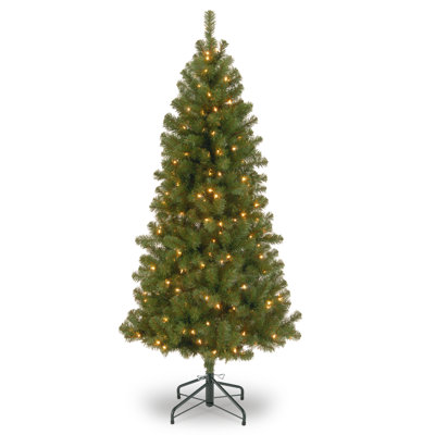 Canadian Grande Fir Tree with Multicolor Lights