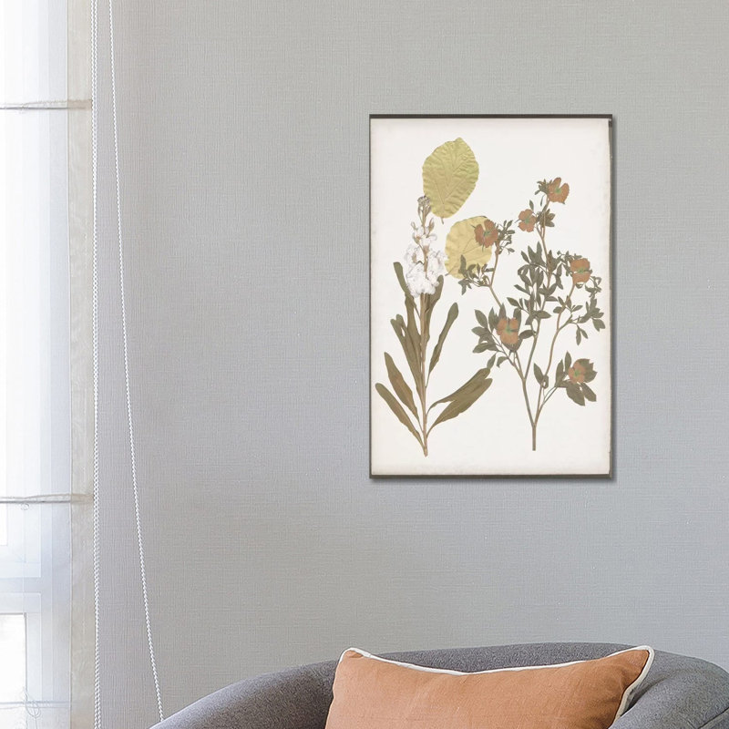 Book-Pressed Flowers I 1 Piece Wrapped Canvas Painting, 66.04 cm H x 45.72 cm W x 3.175 cm D