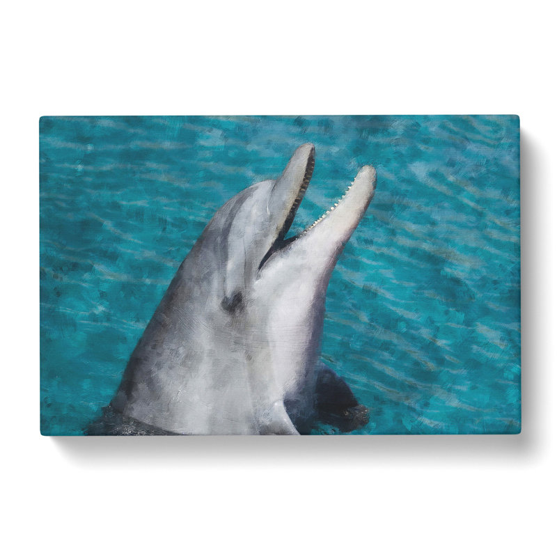 Dolphin - Wrapped Canvas Print, 35cm H x 50cm W x 3cm D