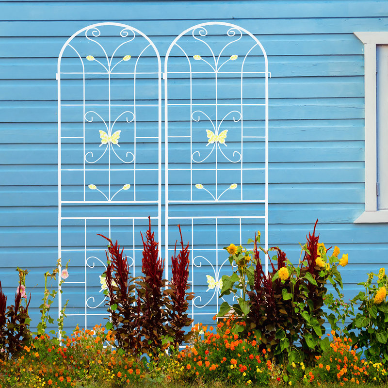 Treillis de jardin polyvalent et antirouille pour plantes grimpantes, rehaussant la beauté extérieure, Blanc, crème