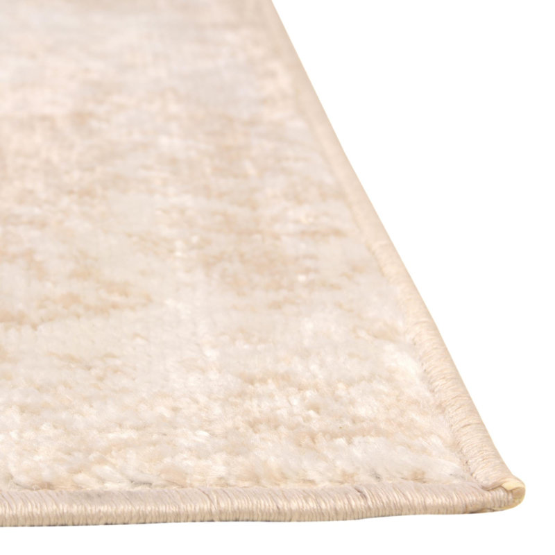 Indoor Rug, Runner 2'7" x 12'