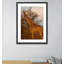 Giraffe 1 by Jade Hammer-290230744-290230745