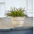 15.25" Modesto Resin Planter