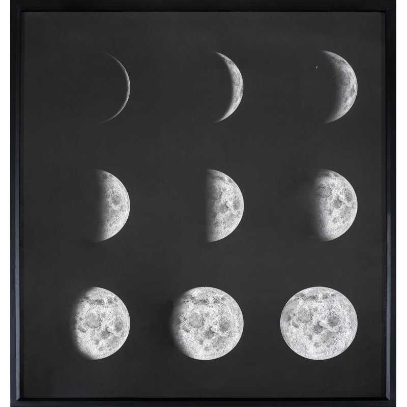 Phases Of The Moon Print by Robert Robinson