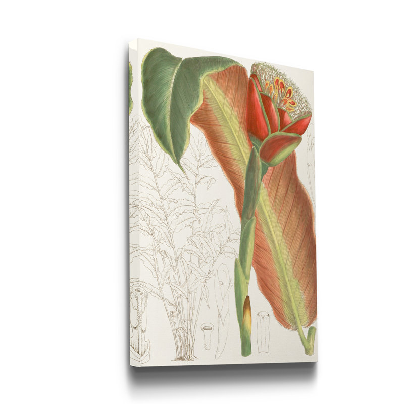 Reproduction d’art sur toile tendue « tropical Variety VII », H 12 po x l 8 po x P 1 po
