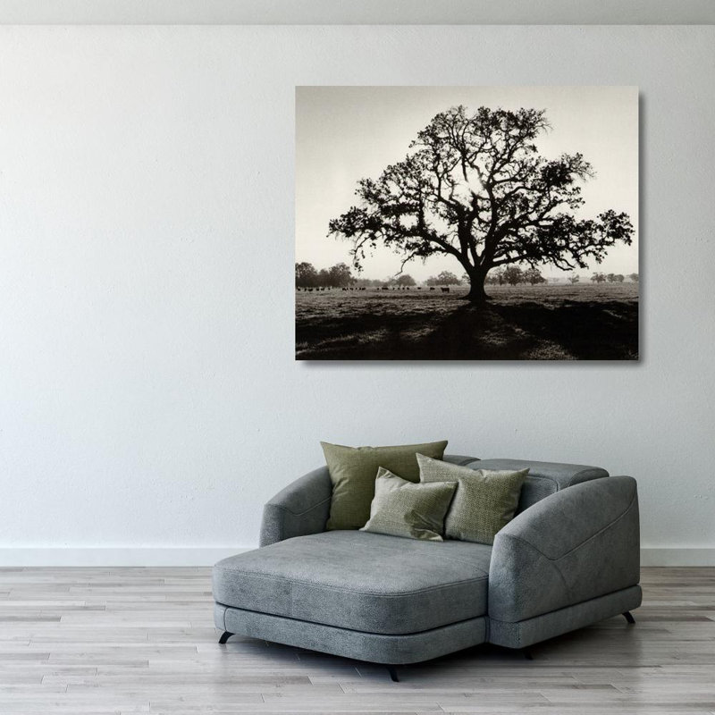 Oak Tree Sunrise, 28" H x 35" W
