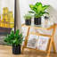 ZTHPOT Ceramic Pot Planter-1358470494