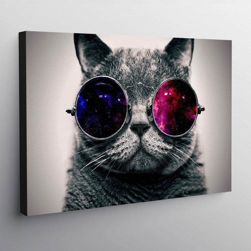 Cool Cat In Sunglasses - Wrapped Canvas Print, 61cm H x 81cm W x 4cm D