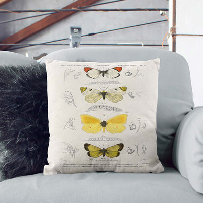 Square Throw Cushion