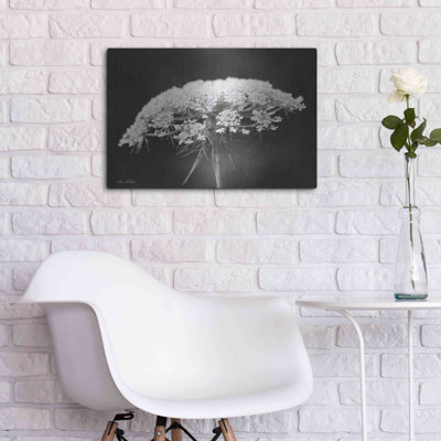 Queen Anne's Lace' by Lori Deiter, Metal Wall Art