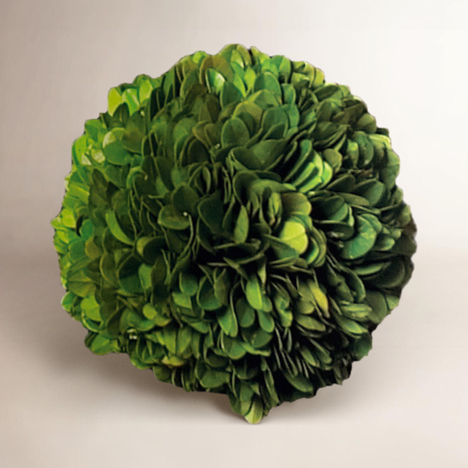 Alby Boxwood, 4" H X 4" W X 4" D