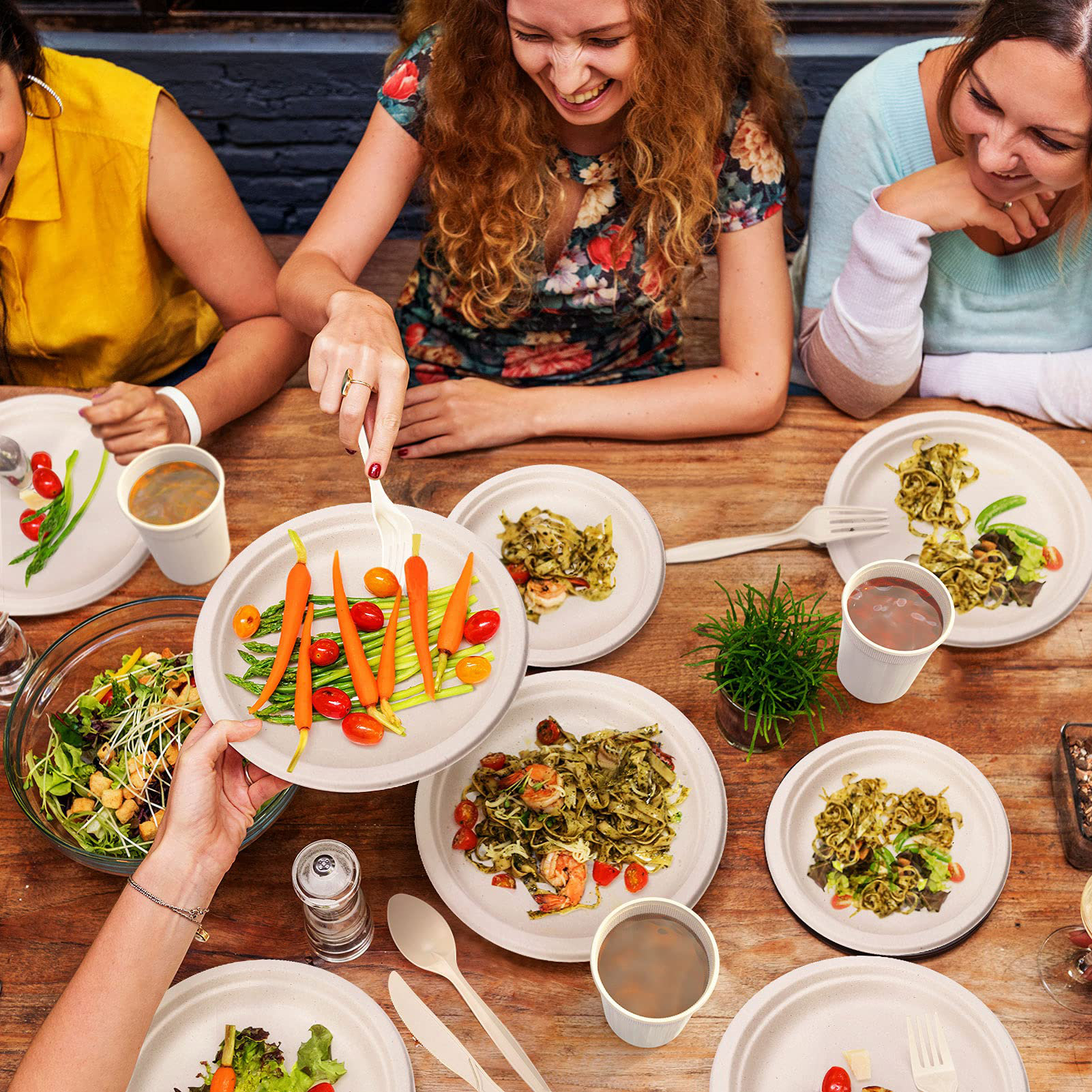 Vplus Lot De 600 Assiettes En Carton 100 % Compostables De