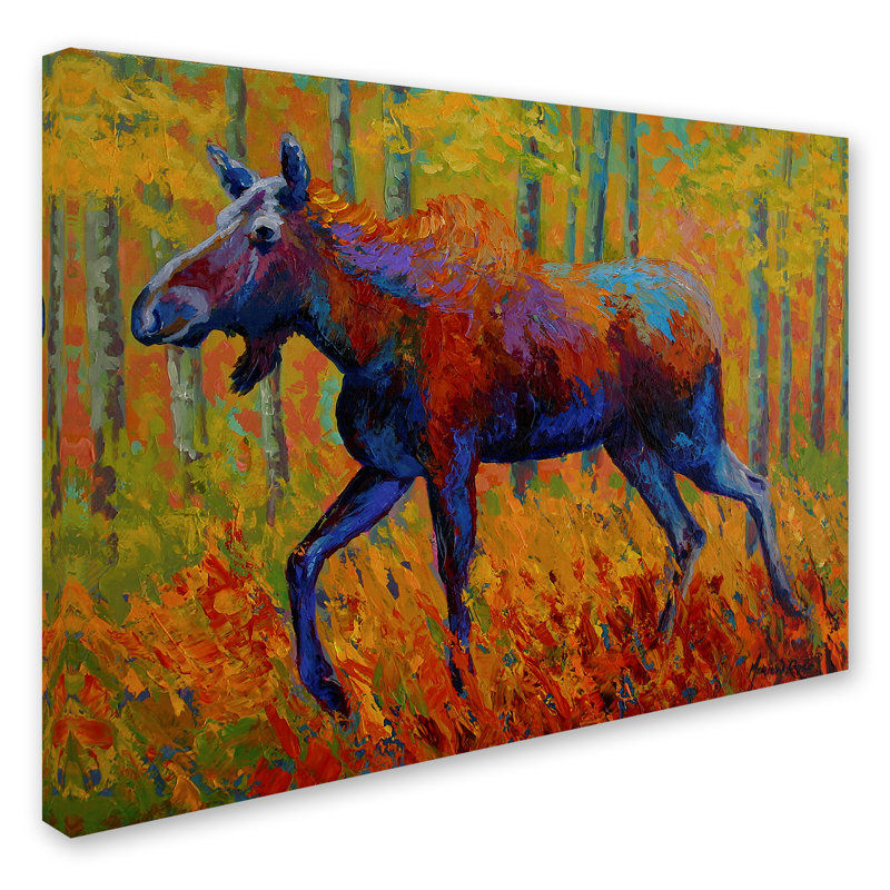 «Cow Moose I» par Kucera, reproduction sur toile tendue, H 14 po x l 19 po